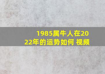 1985属牛人在2022年的运势如何 视频